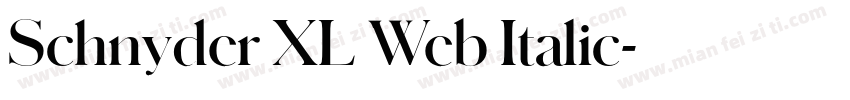 Schnyder XL Web Italic字体转换